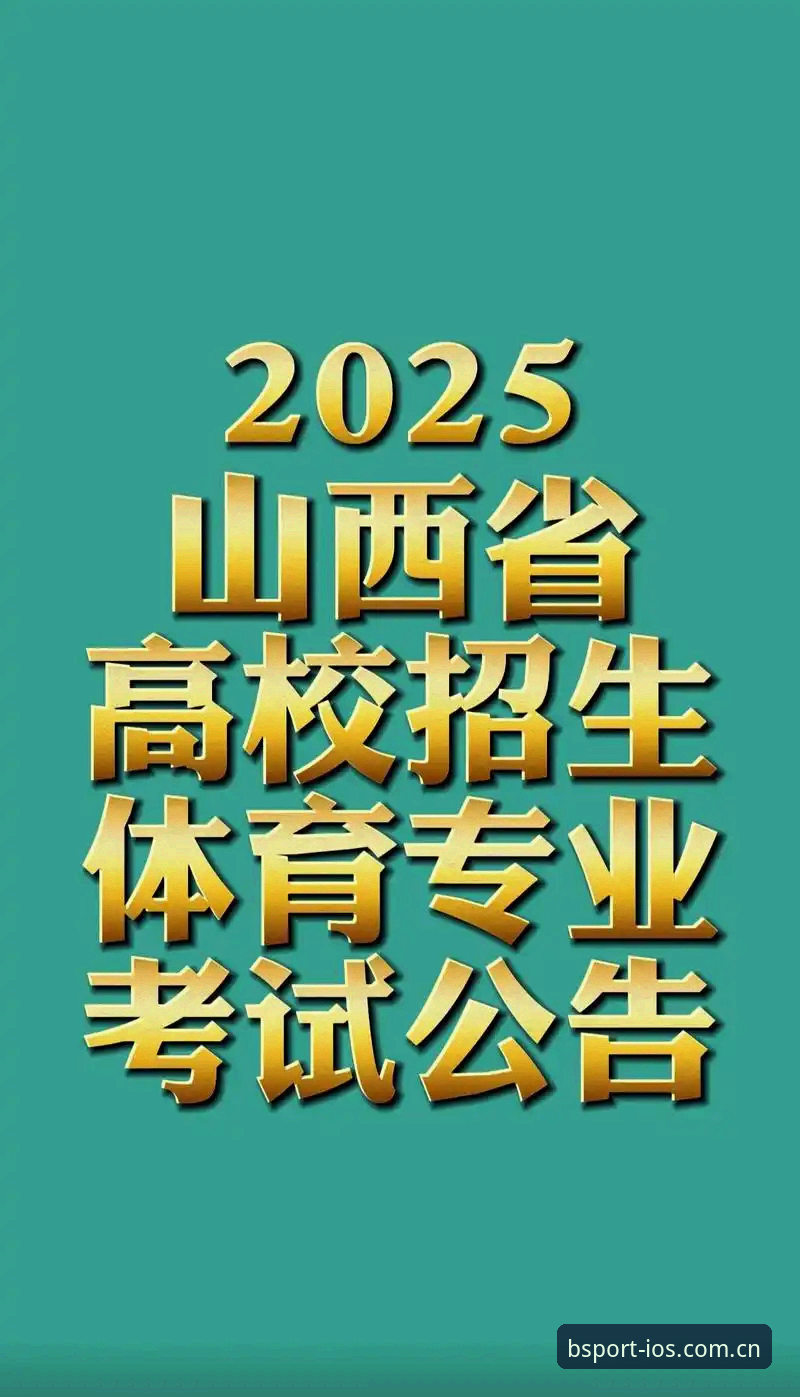 B体育苹果版与旧版本官网入口全面评测：2025双端差异与选择策略